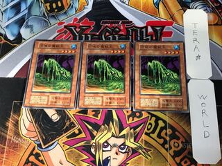 沼地の魔獣王 3 初期 ノーマル 3枚セット てら