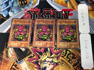 Wodan the Resident of the Forest 3 Early Normal 3-card set Terra