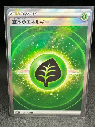 基本草エネルギー SR 251/172