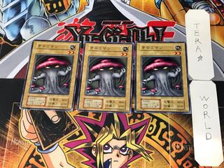 Mushroom Man 3 Early Normal Set of 3 Tera