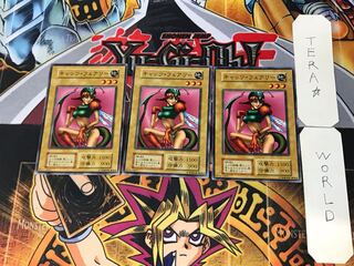 Nekogal #1 3 Early Normal Set of 3 Tera