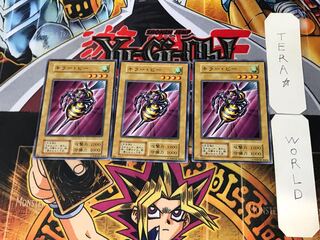 Killer Needle 3 Early Normal Set of 3 Tera