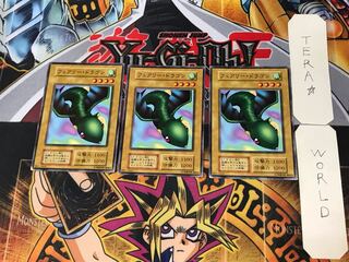 フェアリー・ドラゴン 2 初期 ノーマル 3枚セット てら