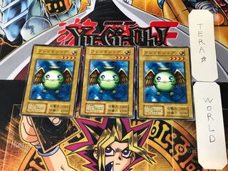 Shining Friendship 1 Early Normal 3-card set Tera