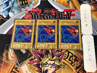 Magnum Lily 2 Early Normal Set of 3 Tera.