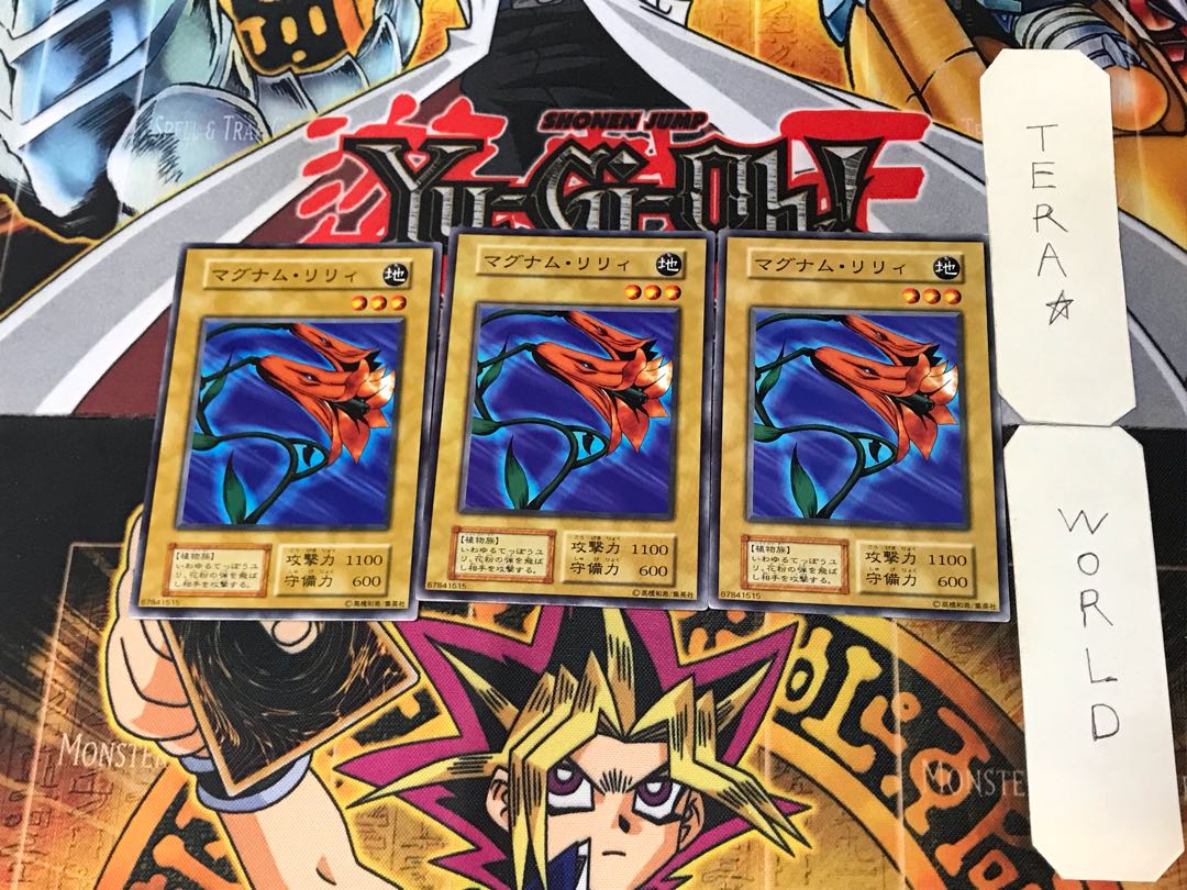 Magnum Lily 3 Early Normal Set of 3 Tera.