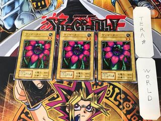 Man Eater 2 Early Normal Set of 3 Tera