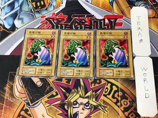 Darkness Demon Mirror 3 Early Normal Set of 3 Tera