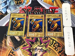 Yin-Yang Tao 1 Early Normal Set of 3 Tera