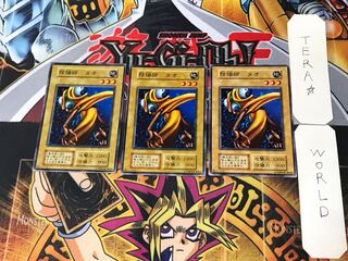 Yin-Yang Tao 2 Early Normal Set of 3 Tera