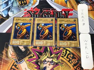 Yin-Yang Tao 3 Early Normal Set of 3 Tera