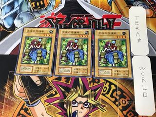 Protector of the Throne 3 Early Normal Set of 3 Tera