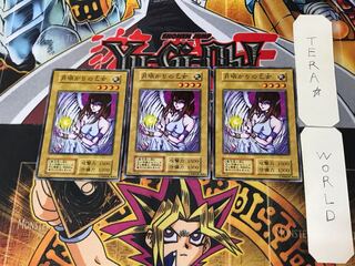 Maiden of the Moonlight 3 Early Normal Set of 3 Tera