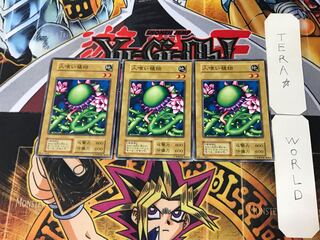 人喰い植物 1 初期 ノーマル 3枚セット てら