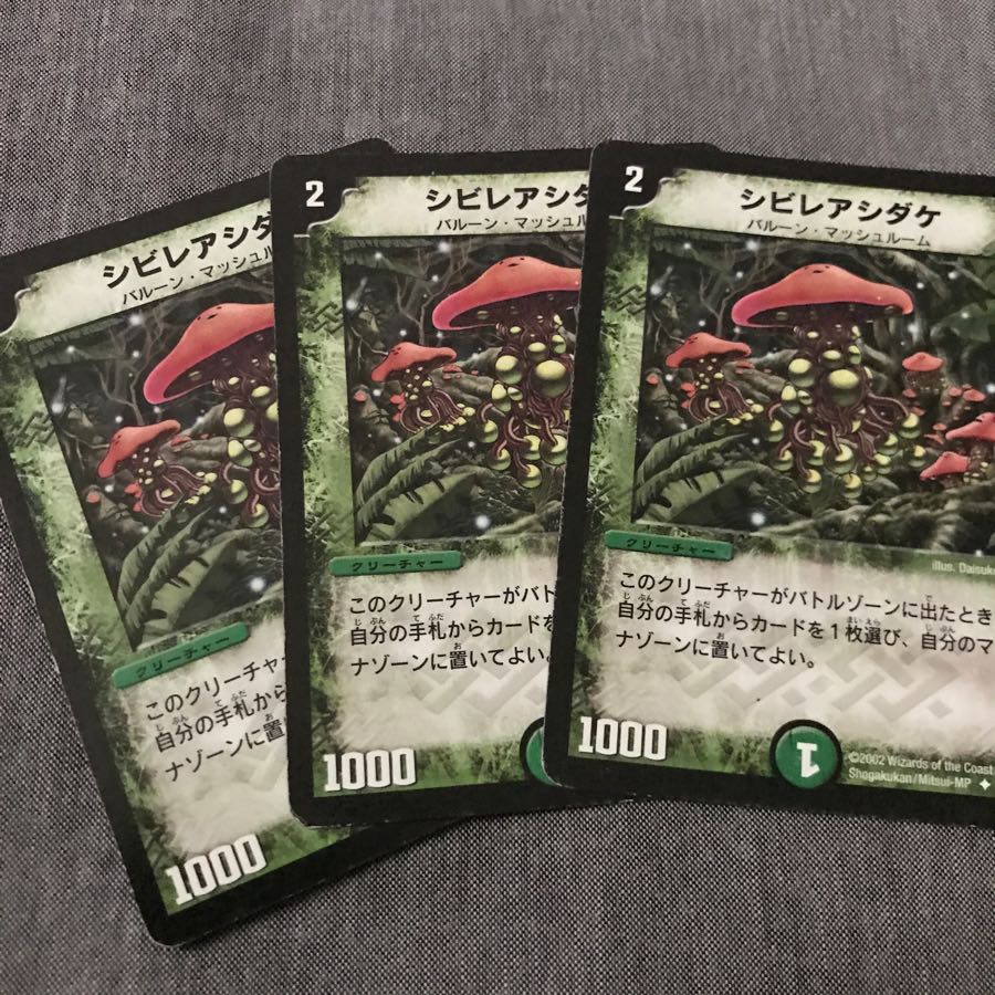 シビレアシダケ