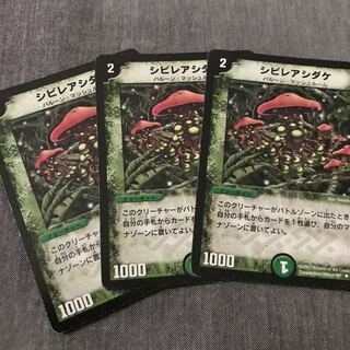 シビレアシダケ