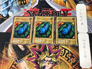 青虫 1 初期 ノーマル 3枚セット てら