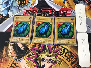 青虫 3 初期 ノーマル 3枚セット てら