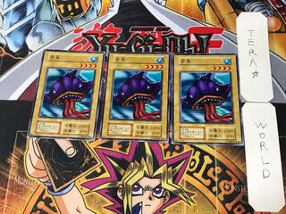 Tongyo 1 Early Normal Set of 3 Tera