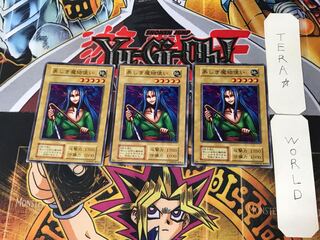 美しき魔物使い 3 初期 ノーマル 3枚セット てら