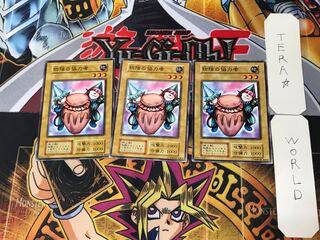 物陰の協力者 1 初期 ノーマル 3枚セット てら