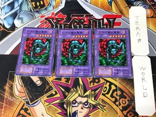 Rose Spectre of Dunn 2 Early Normal Set of 3 Terra