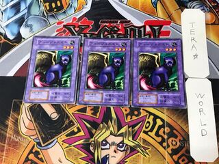 フュージョニスト 1 初期 ノーマル 3枚セット てら