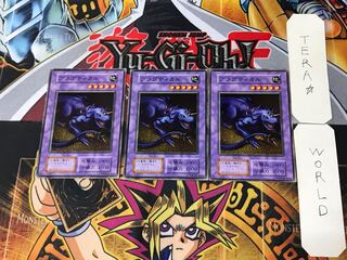 プラグティカル 1 初期 ノーマル 3枚セット てら