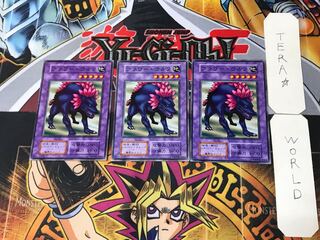 フラワー・ウルフ 2 初期 ノーマル 3枚セット てら