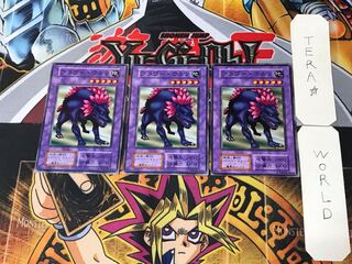 フラワー・ウルフ 3 初期 ノーマル 3枚セット てら