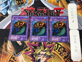 レア・フィッシュ 3 初期 ノーマル 3枚セット てら