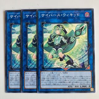 サイバース・ウィキッド $2369