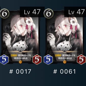 アリシア　2枚　バラ可