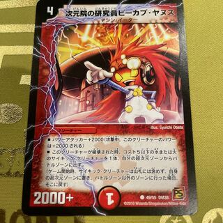 Resarch worker Peekap Janus C 49/55 in the dimensional institute