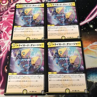 Triguard Charger R 13/95