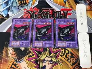 黒き人食い鮫 3 初期 ノーマル 3枚セット てら