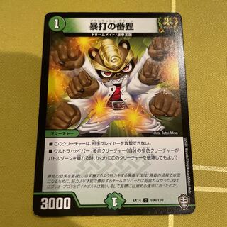 Raccoon guard of violence C 100/110