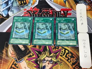 恵みの雨 2期ver 1 ノーマル 3枚セット てら