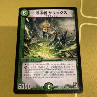 Caller Salix R 17/55