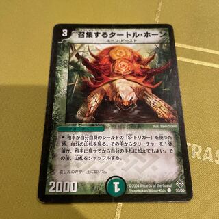 Turtle Horn, the Imposing C 53/55