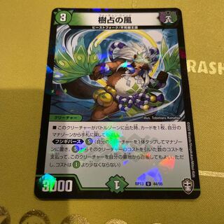 樹占の風 U-foil 44/95