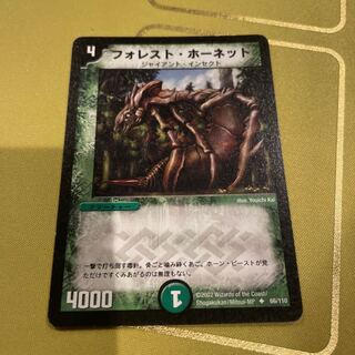 Forest Hornet U 66/110