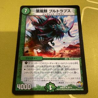 葉嵐類 ブルトラプス R 20/74