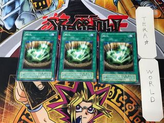 孵化 2期ver 3 ノーマル 3枚セット てら