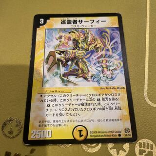 Pilgrim Surfy C 37/55