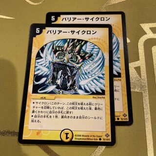 Barrier C Cyclone C 78/110/Y5