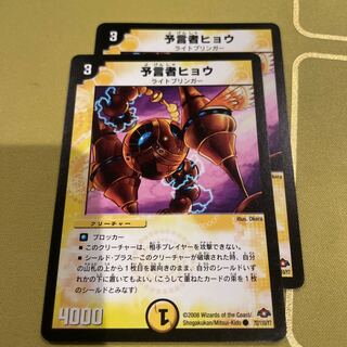 Divination Person Leopard C 72/110/Y7