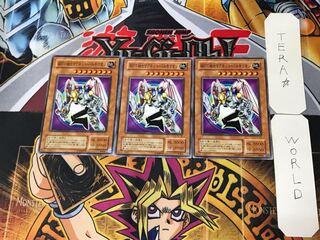 Valkyrion the Magna Warrior 2nd period ver 3 normal 3-card set Terra