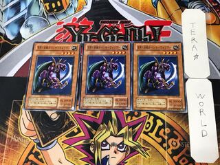 Panther Warrior 2nd period ver 1 normal, set of 3 Tera