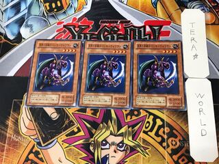 Panther Warrior 2nd period ver 2 Normal, set of 3 Tera